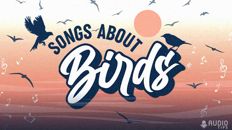 Songs About Birds Graphic