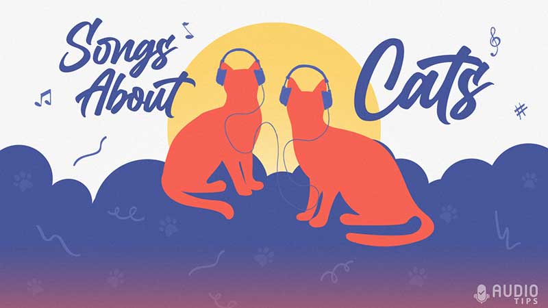 Songs About Cats