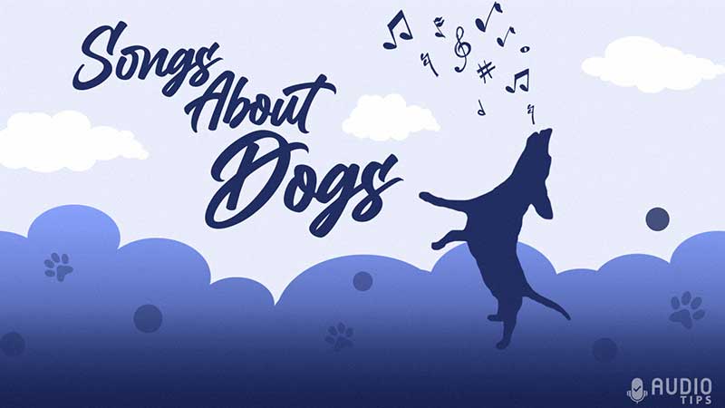 Songs About Dogs